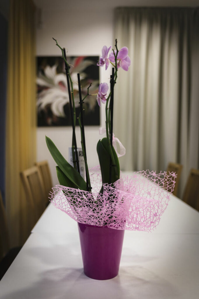 ristorante a bolzano pizzeria a bolzano_DSC7051 Ristorante Pizzeria a Bolzano svg+xml;charset=utf